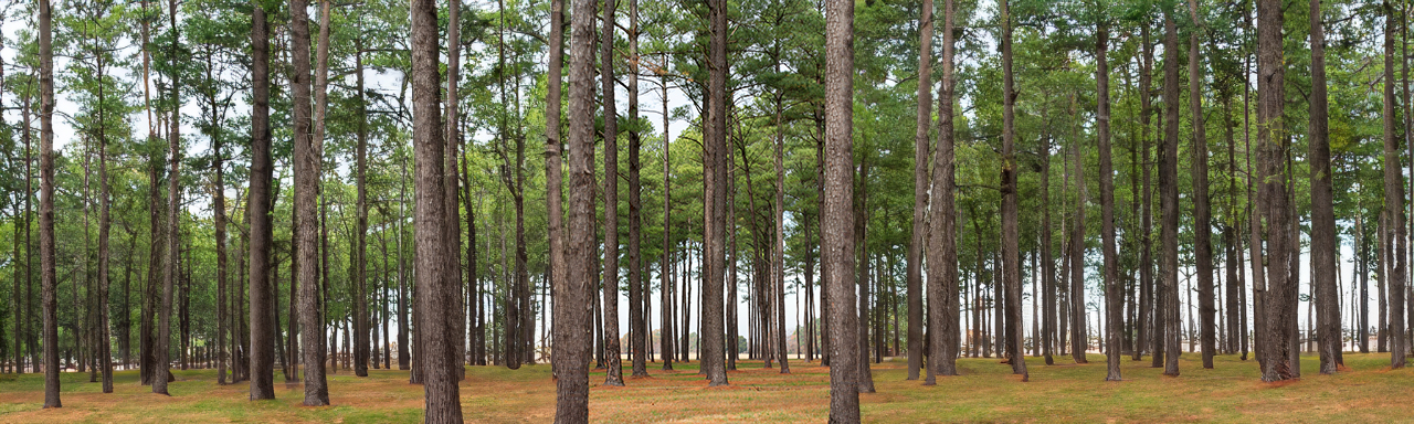 PLATEAU HERBICIDE