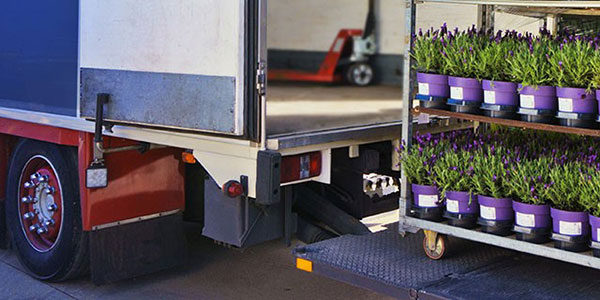 Pesticide Treatment of an Enclosed Cargo Area